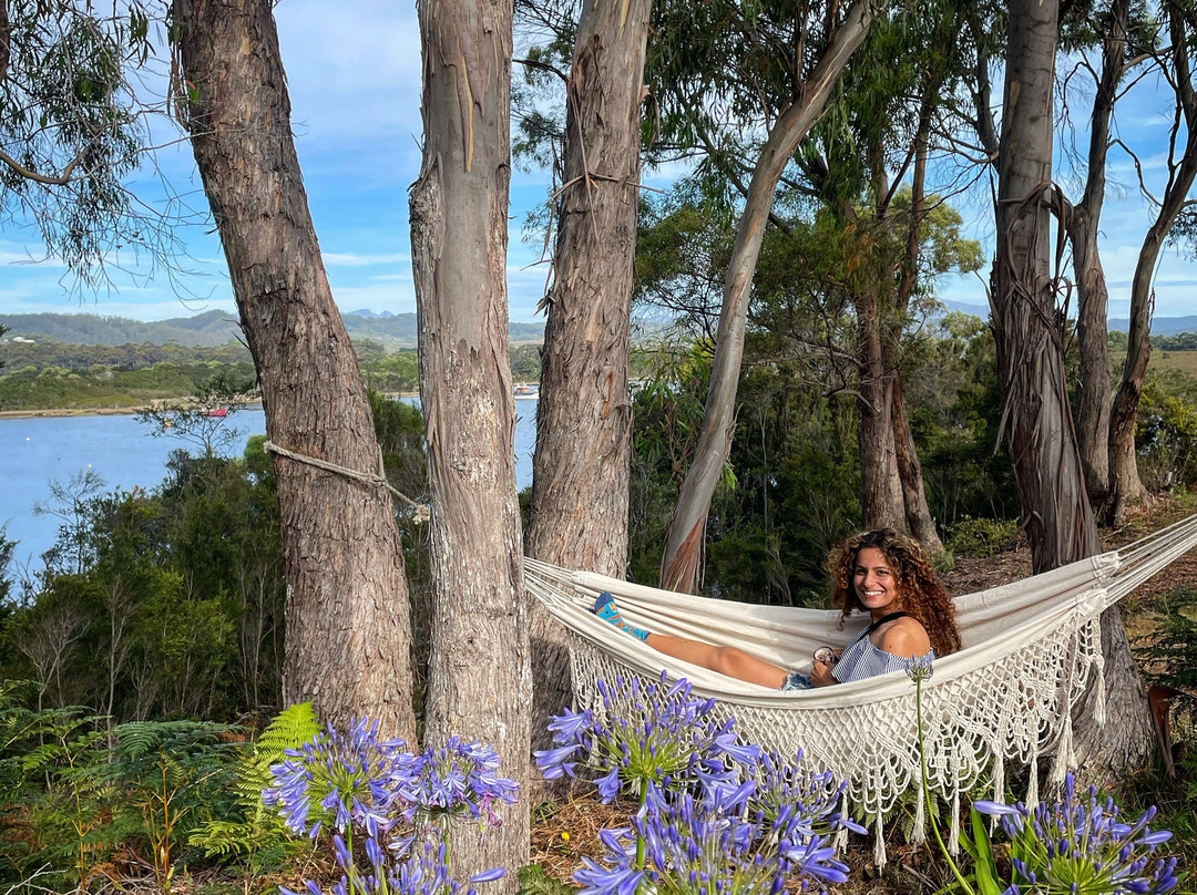 斯特拉恩酒店住宿-Strahan Wilderness Lodge