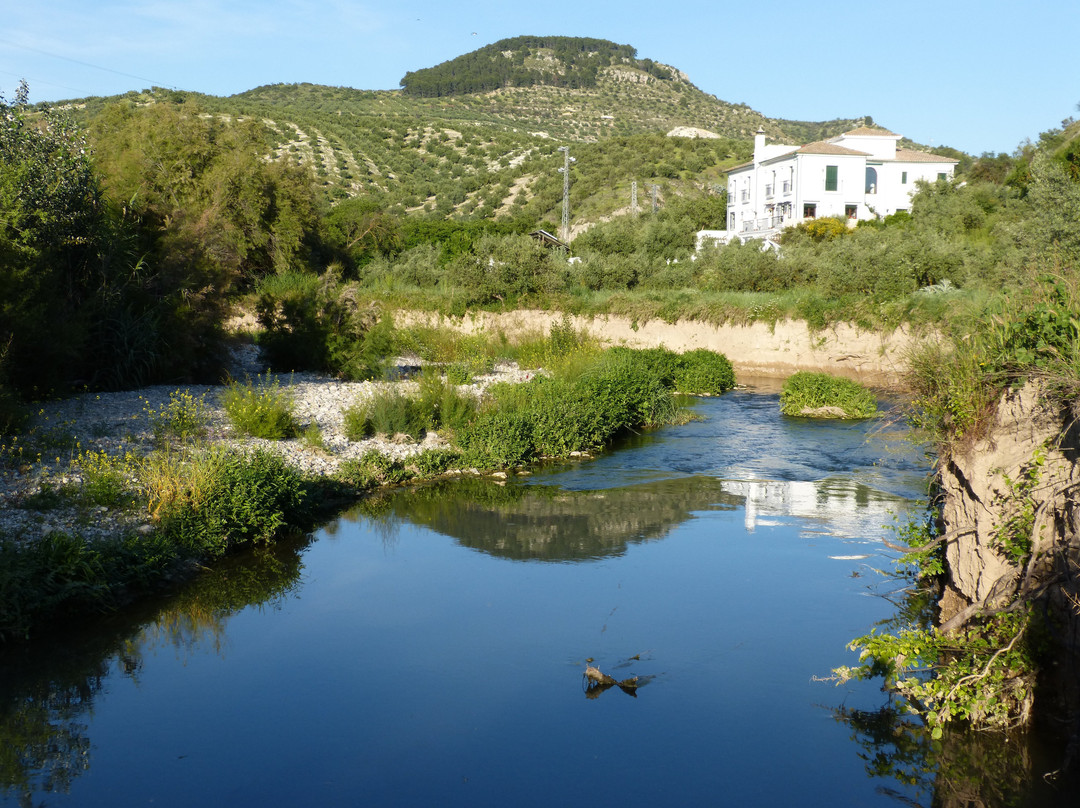 Castil de Campos酒店住宿-Casa Olea