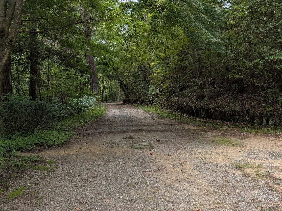 Shiroyama Park-高山市必去景点