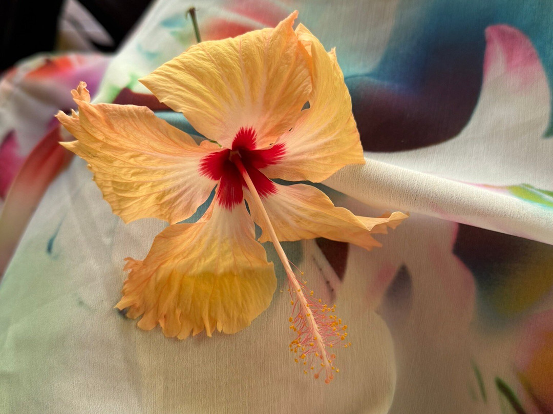 Sigatoka Spa-辛加东卡必去景点