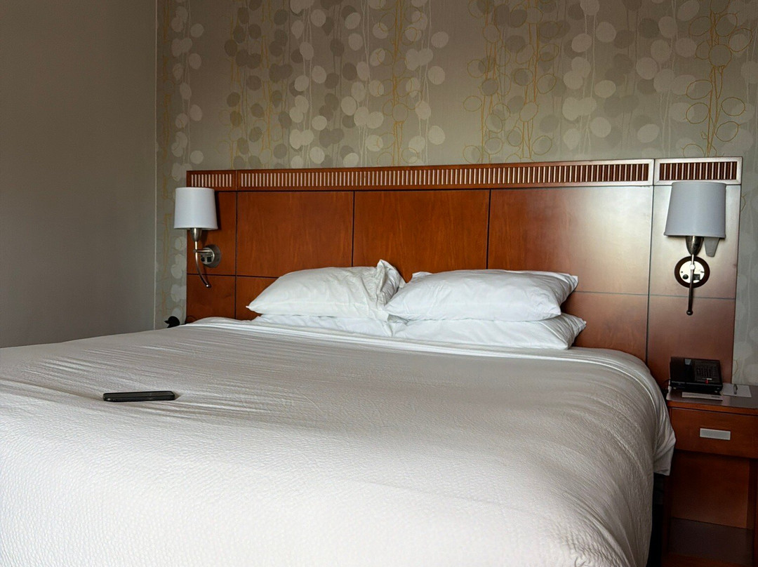 Courtyard by Marriott Chicago Wood Dale/Itasca主图