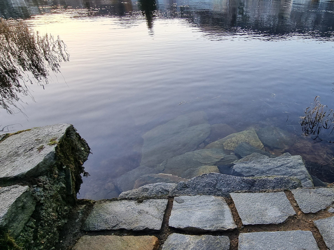Vest Sauna AS-福尔德必去景点