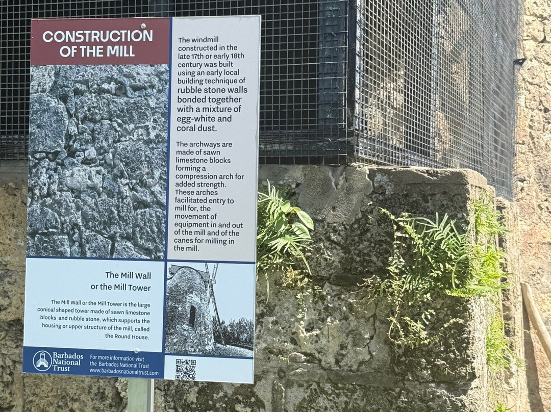 Morgan Lewis Sugar Mill-Morgan Lewis必去景点