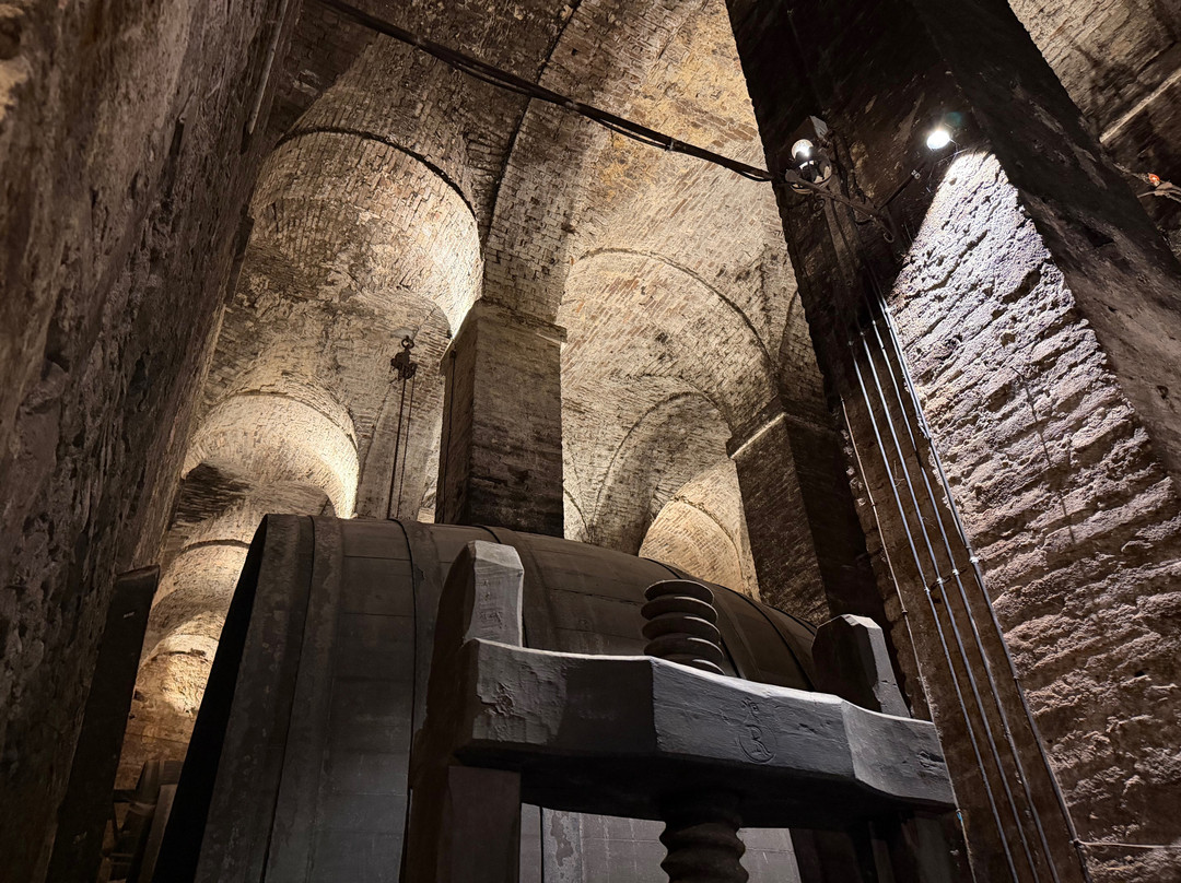 De'Ricci Cantine Storiche-蒙特普尔恰诺必去景点