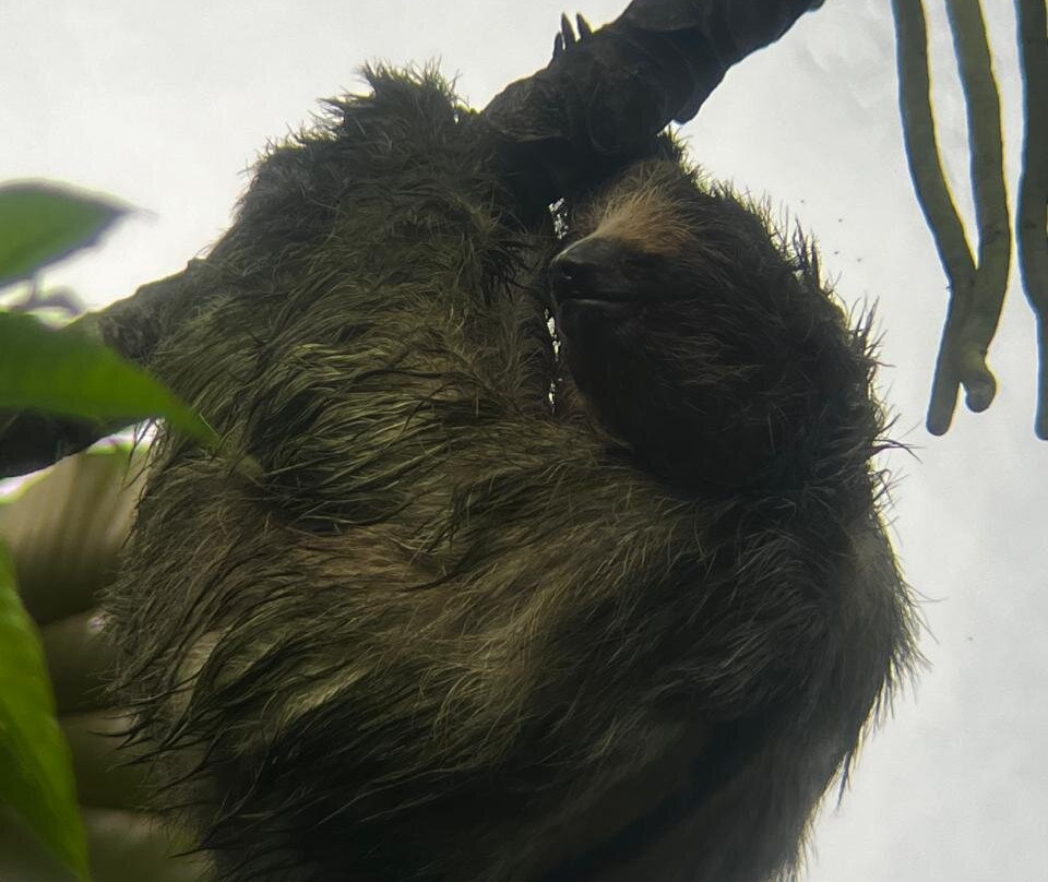 Arenal Nature Tours-Muelle必去景点