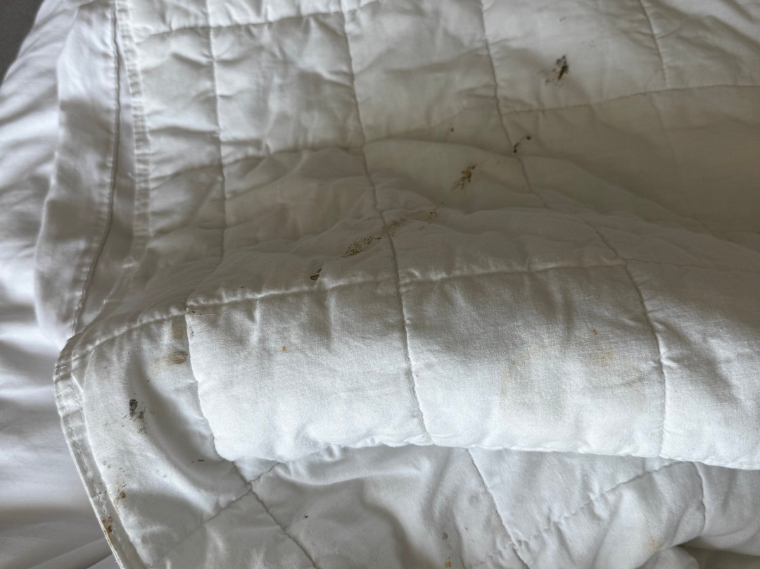 NH Monterrey La Fe主图