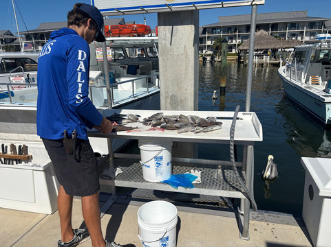 Dalis Fishing Charters-那不勒斯必去景点