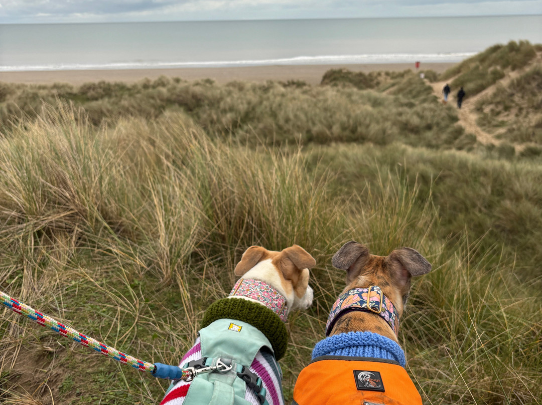 Ynyslas National Nature Reserve-Borth必去景点