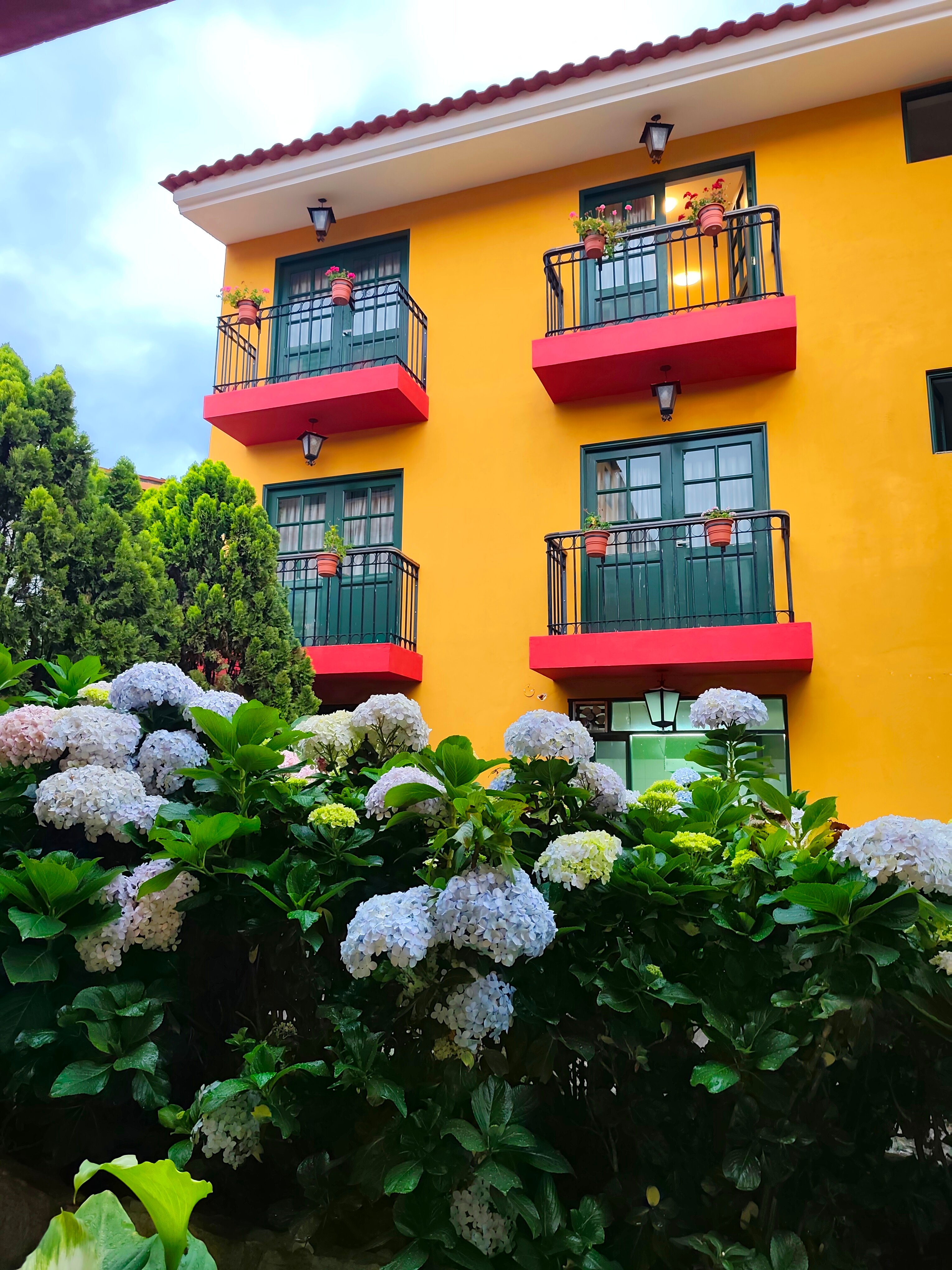 Hotel Tartar-酒店景观