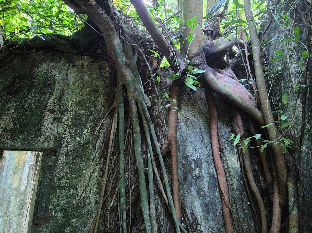 Ba Vi National Park-河内必去景点