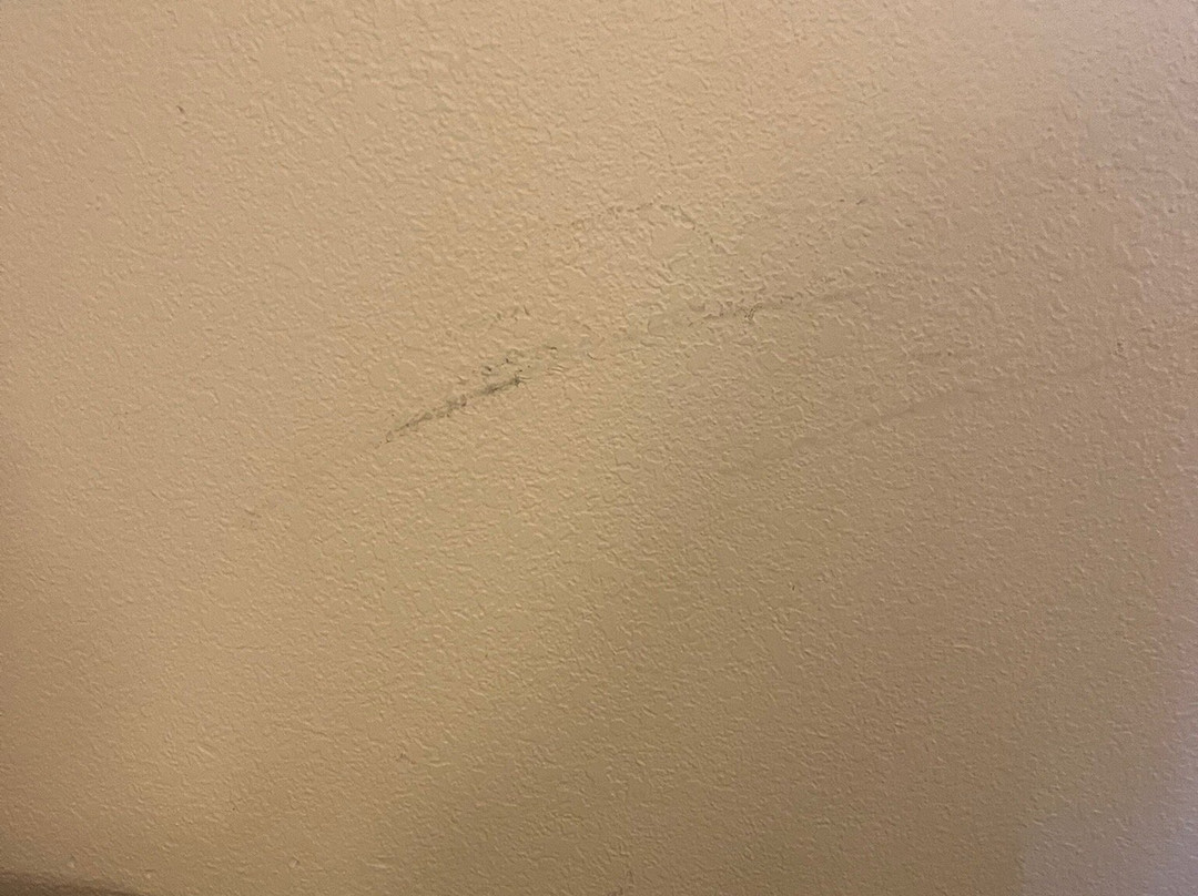 劳伦斯堡呗盟套房酒店主图