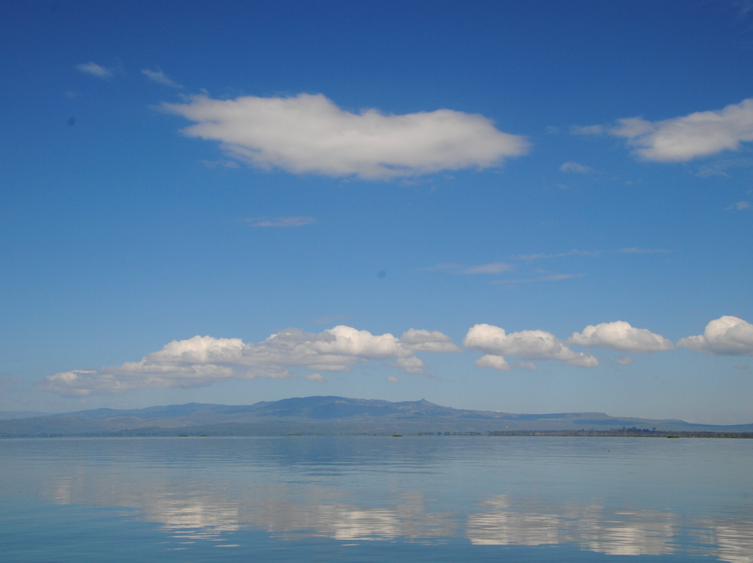 Morningstar Tours and Travel-Syokimau必去景点