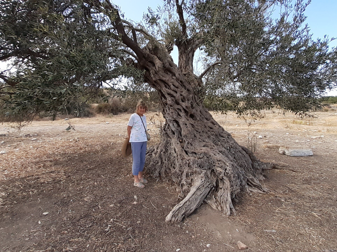 RSD Travel Ltd London-Towcester必去景点