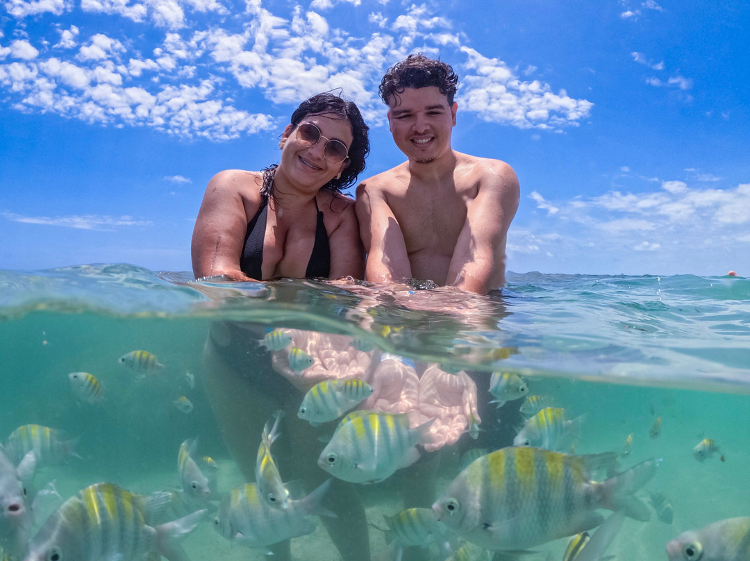 Foz do Rio São Francisco-Piacabucu必去景点