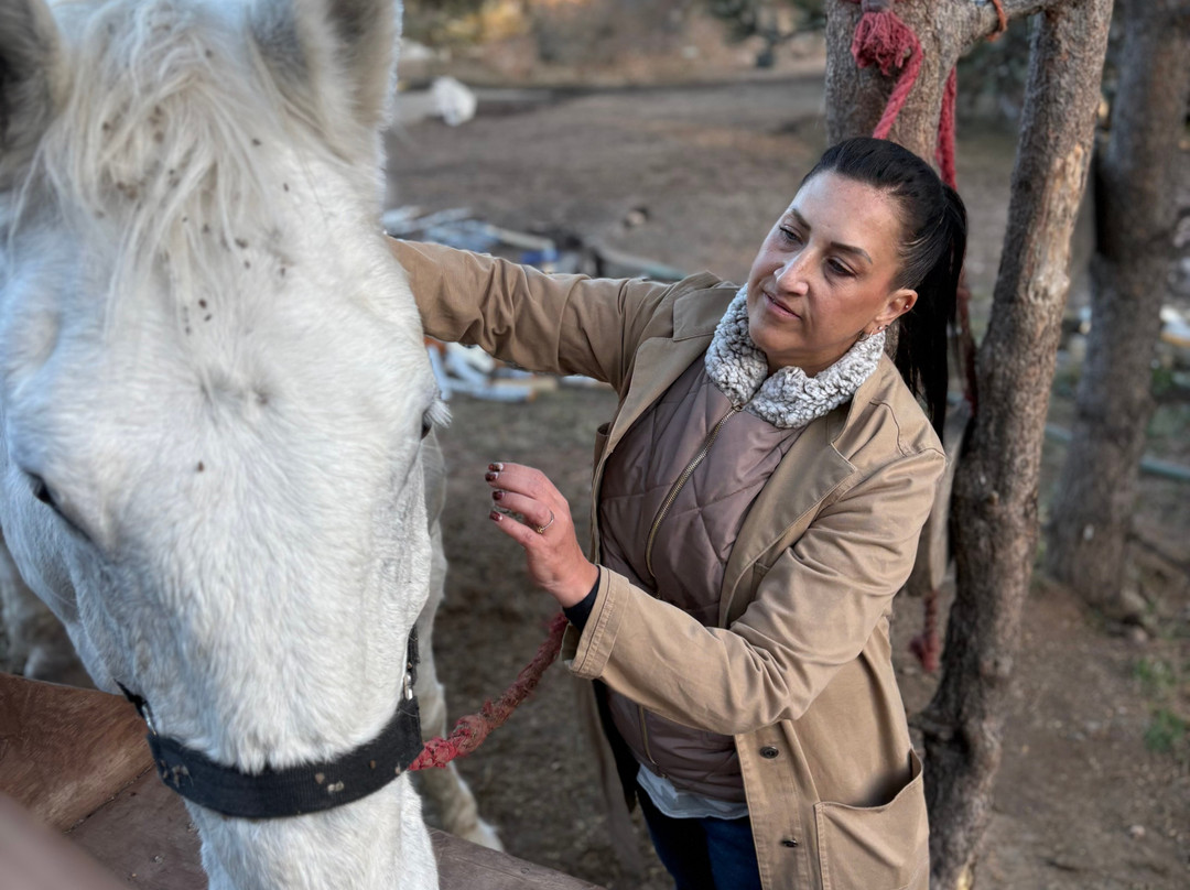 Andy's Trail Rides-Lead必去景点