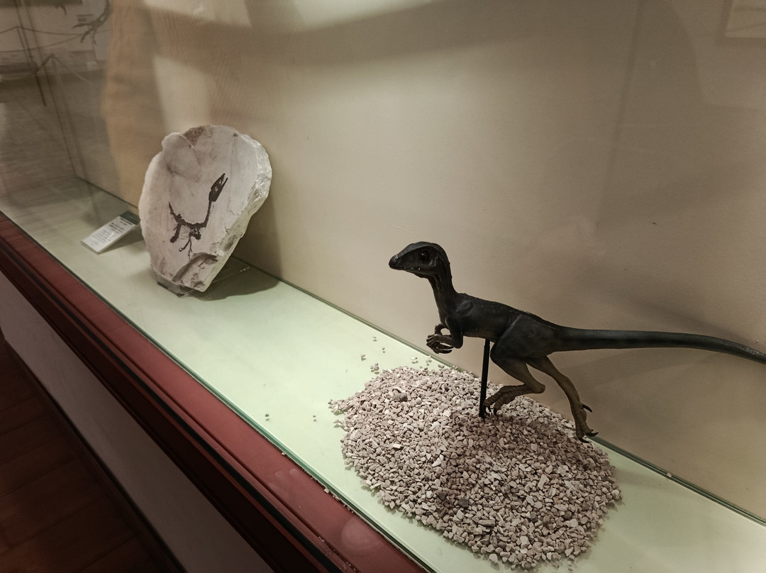 MUSA - Museo Universitario delle Scienze e delle Arti-那不勒斯必去景点