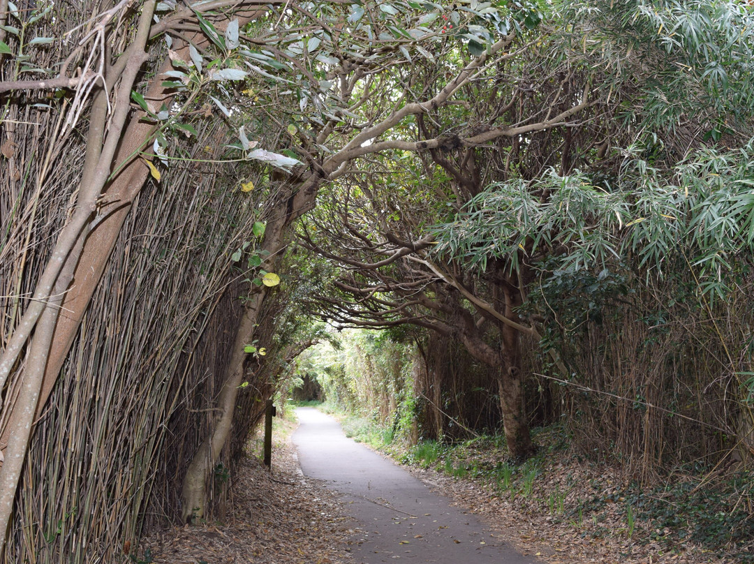 Umanose Domon-三浦市必去景点