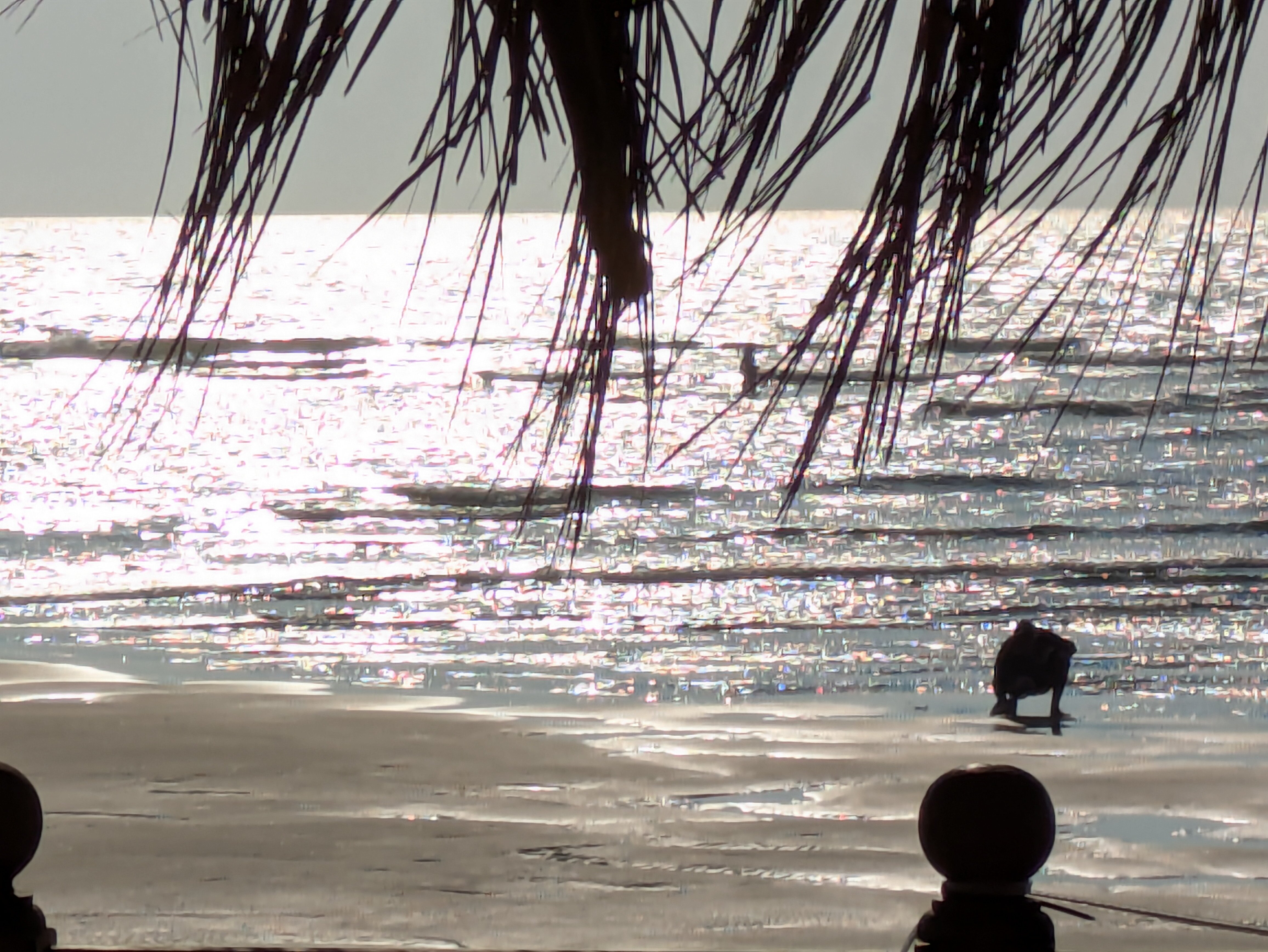 Park Regis Goa-官方