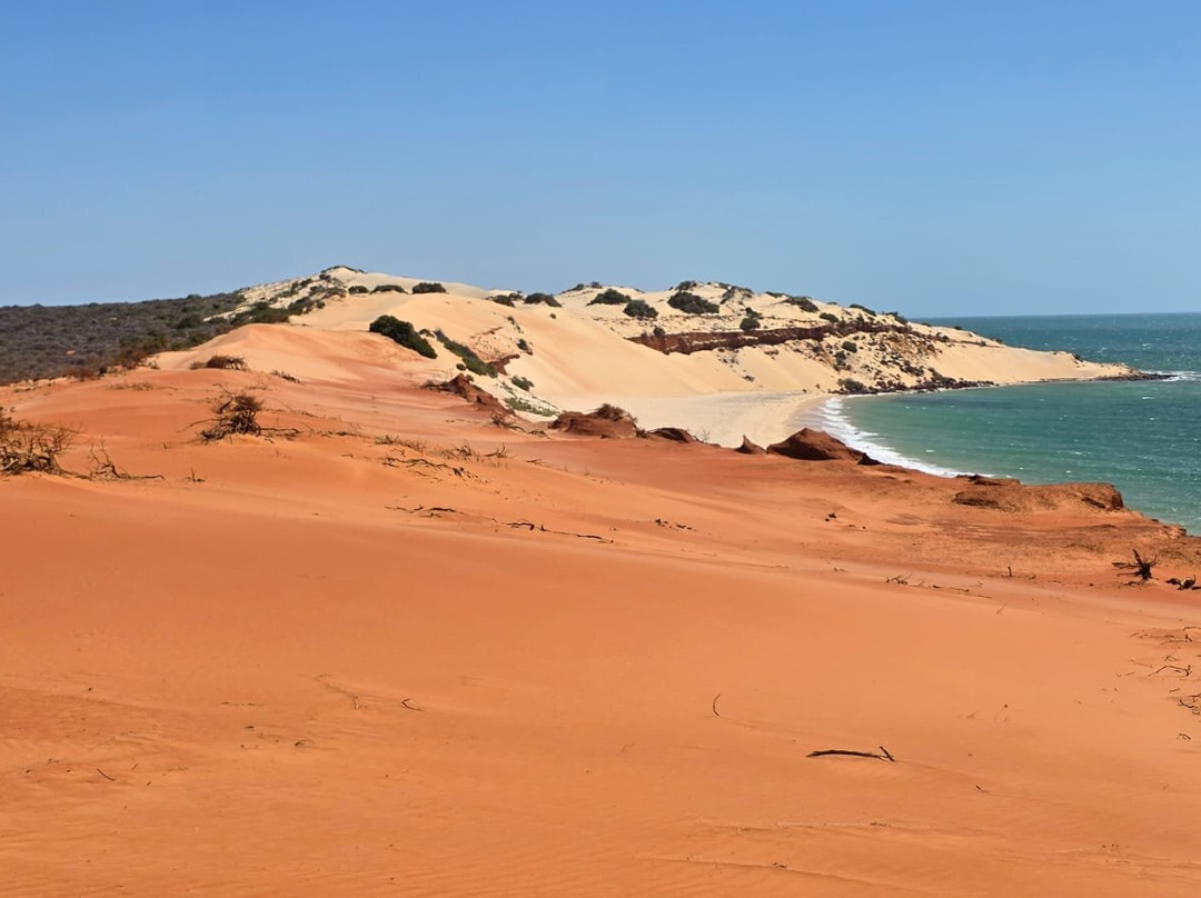 Wildsights-德纳姆必去景点