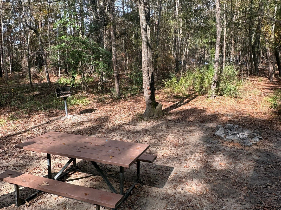 Bogue Chitto State Park-Franklinton必去景点