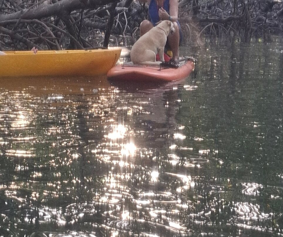 Ecomar Boipeba Ecoturismo Marinho-Ilha de Boipeba必去景点