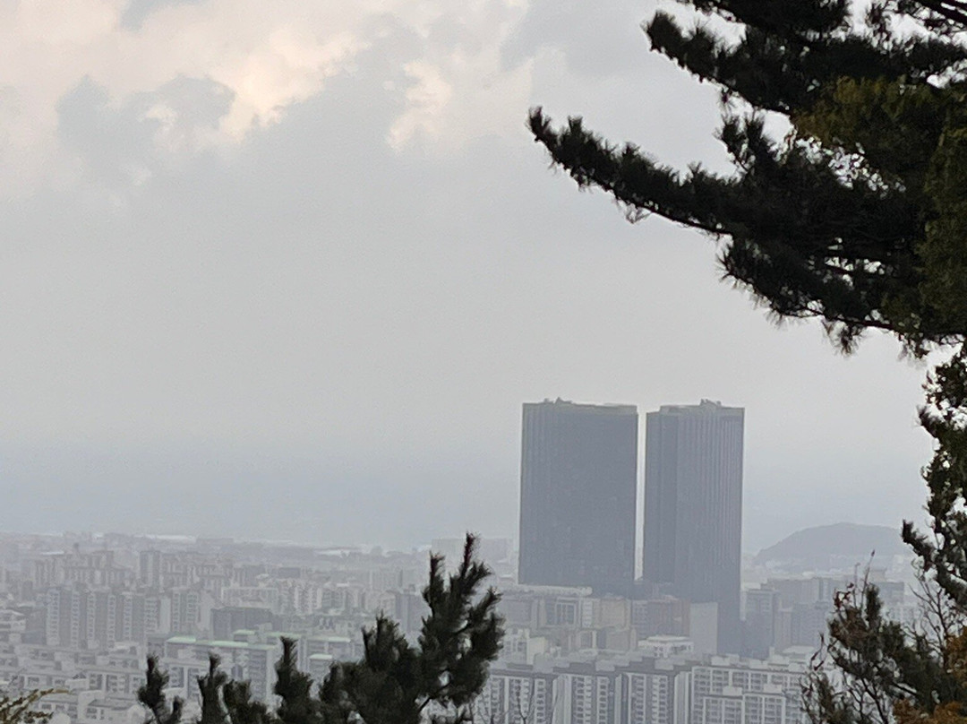 汉拿植物园-济州必去景点