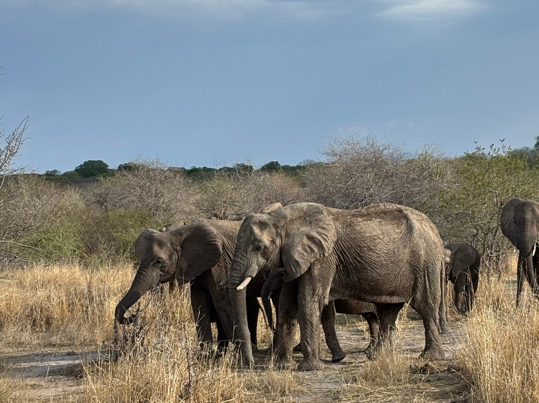 Sam safari & tours-Iringa必去景点