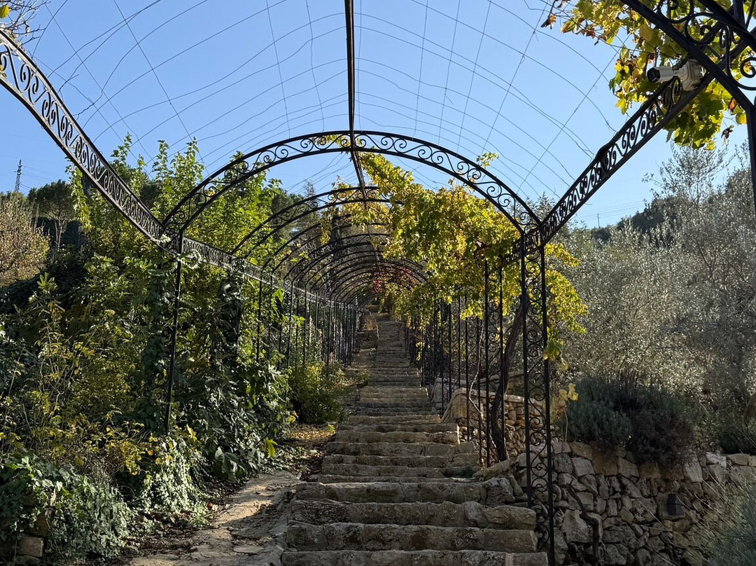 The Yogiventures-贝鲁特必去景点