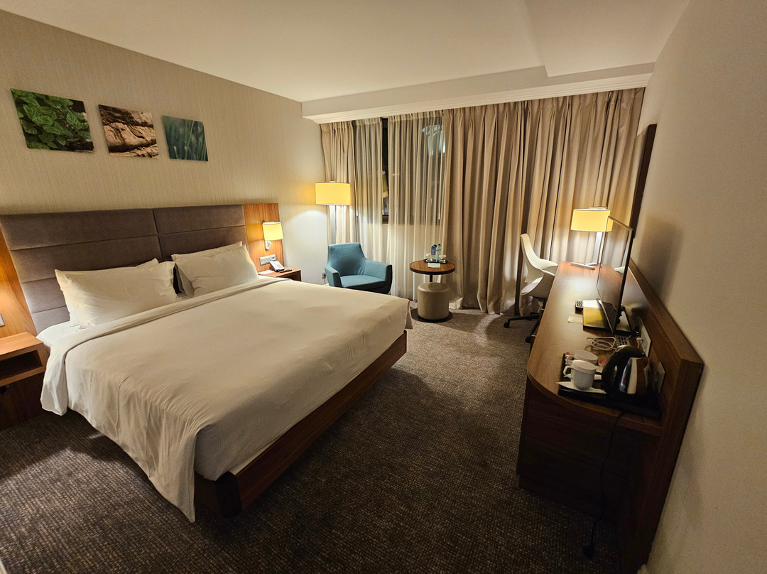 Hilton Garden Inn Bucharest Old Town主图