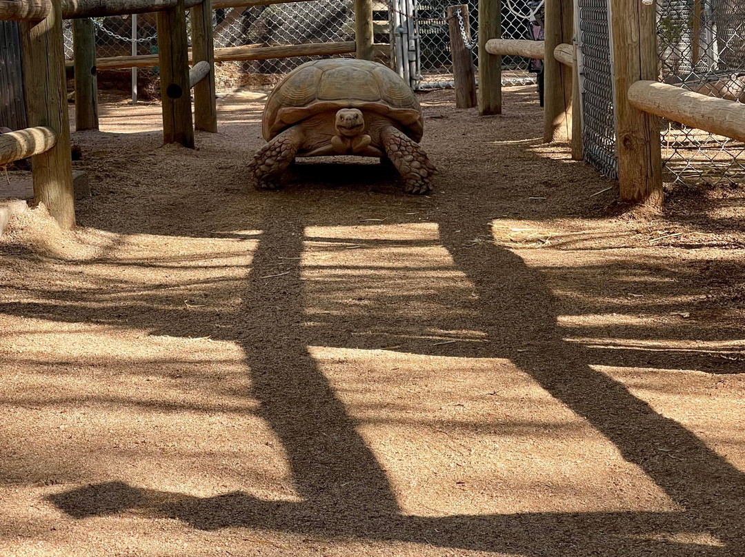 Southwest Wildlife Conservation Center-斯科茨代尔必去景点