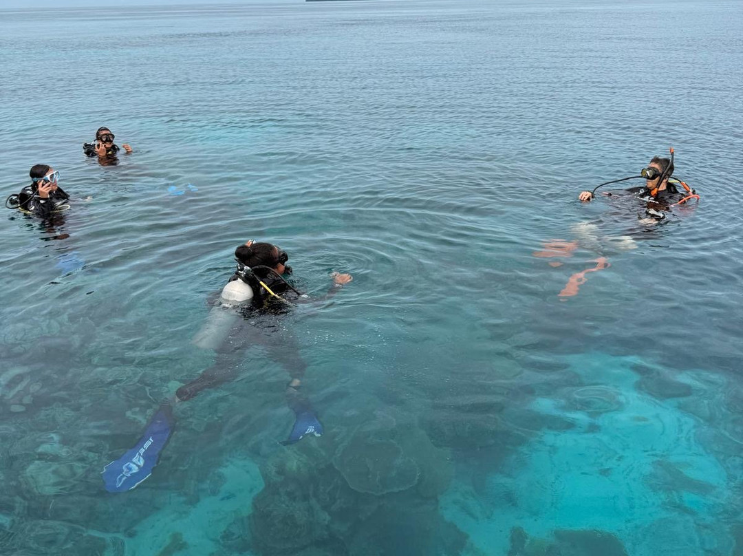 花园岛度假村主图