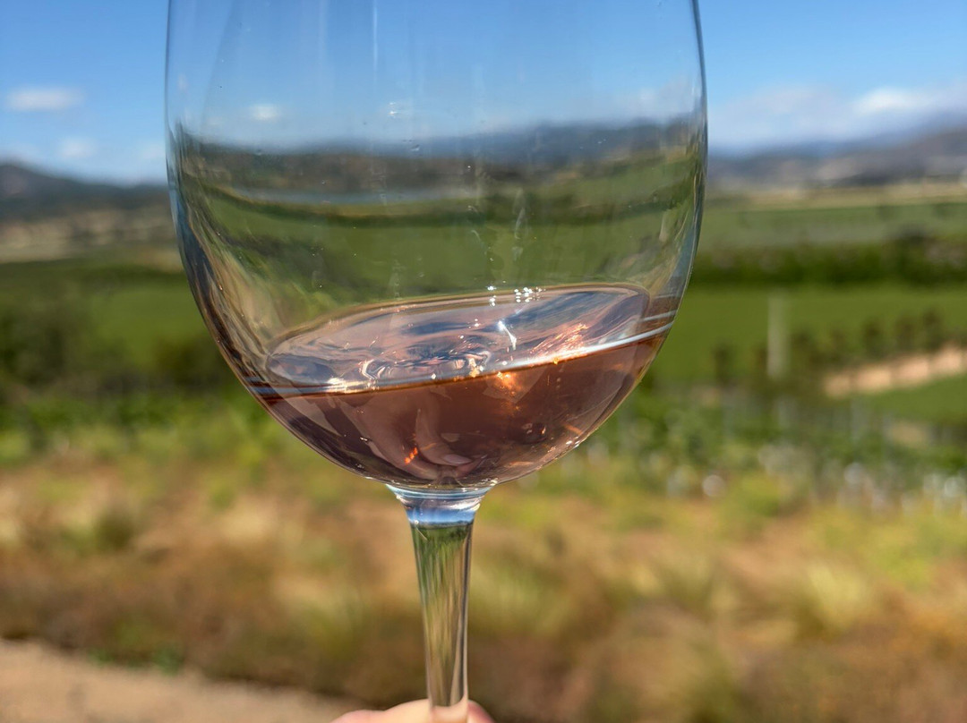 Kingston Family Vineyards-卡萨布兰卡必去景点