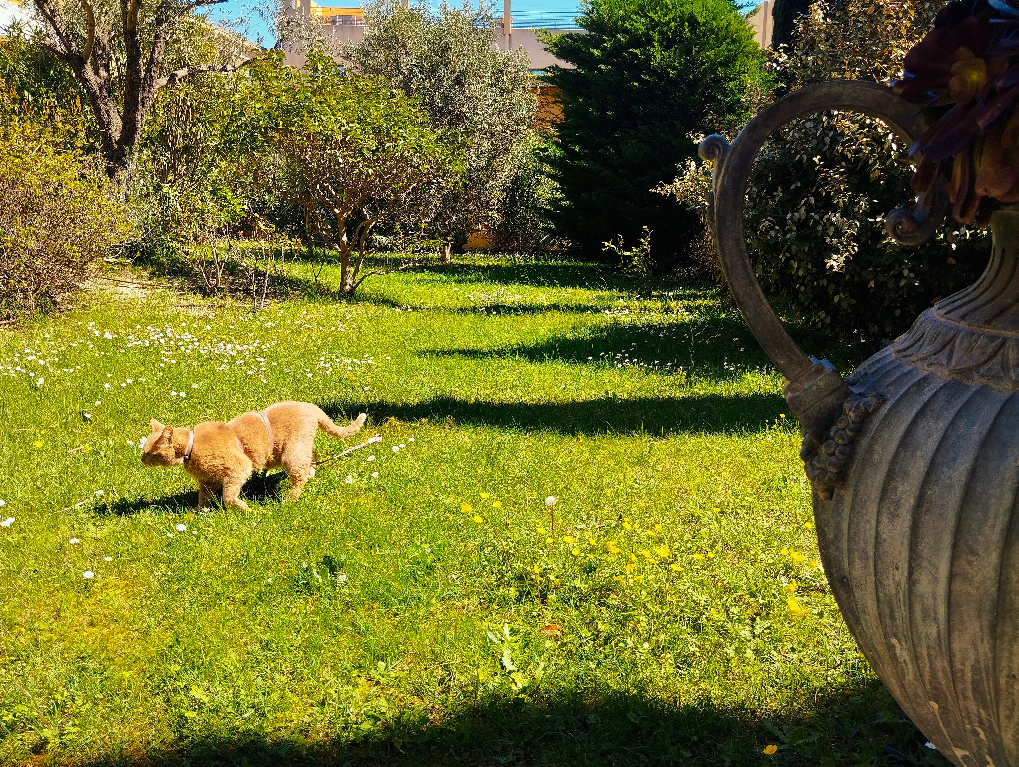 Thames Resort Hotels-浴室