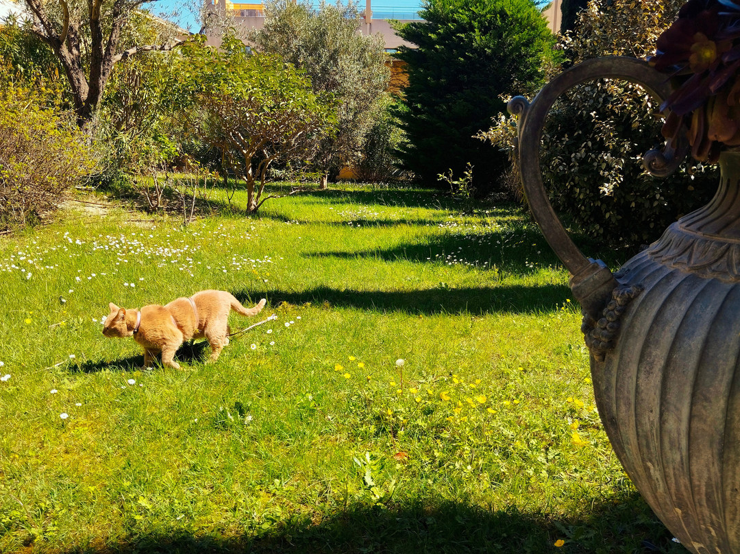 Thames Resort Hotels主图