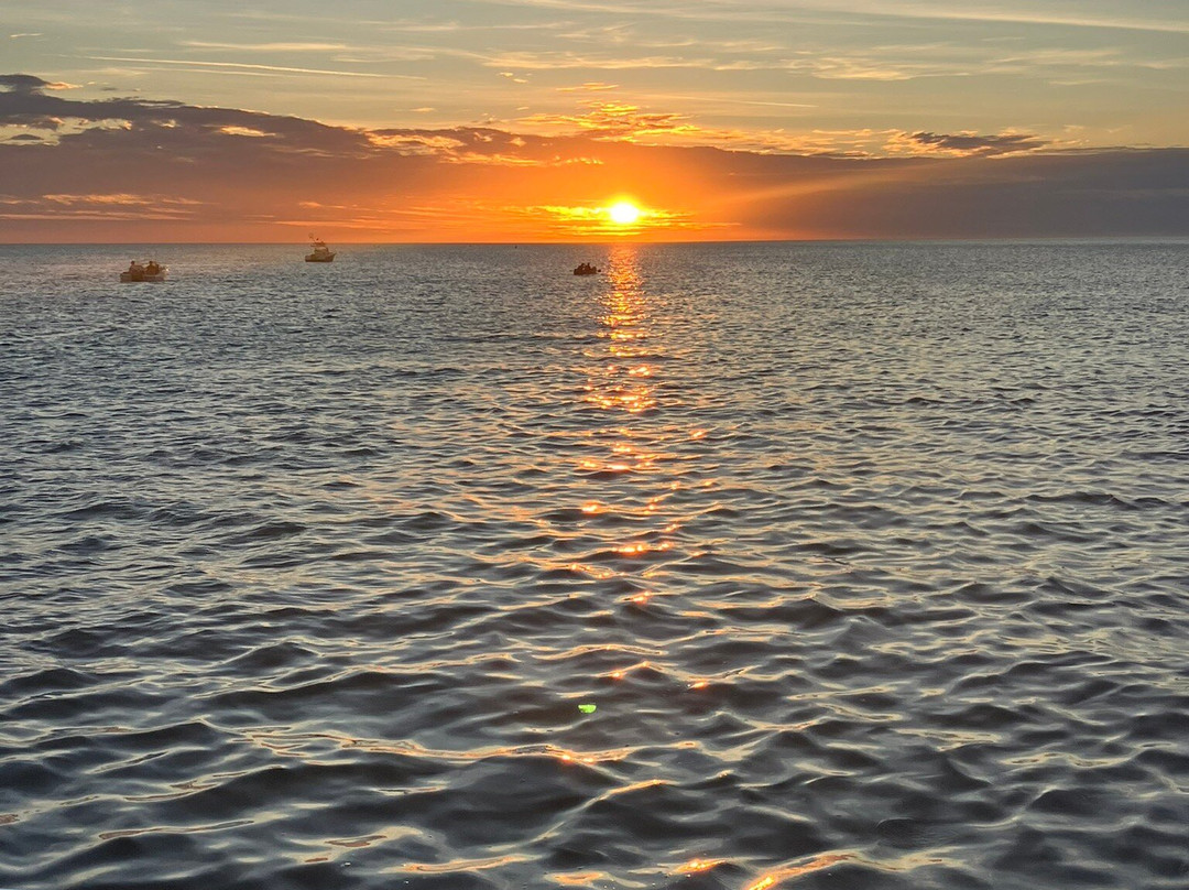 Paradise Boat Tours-Bradenton Beach必去景点
