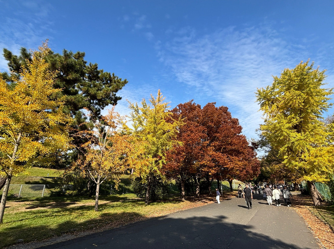 Hamadera Park-坂井市必去景点