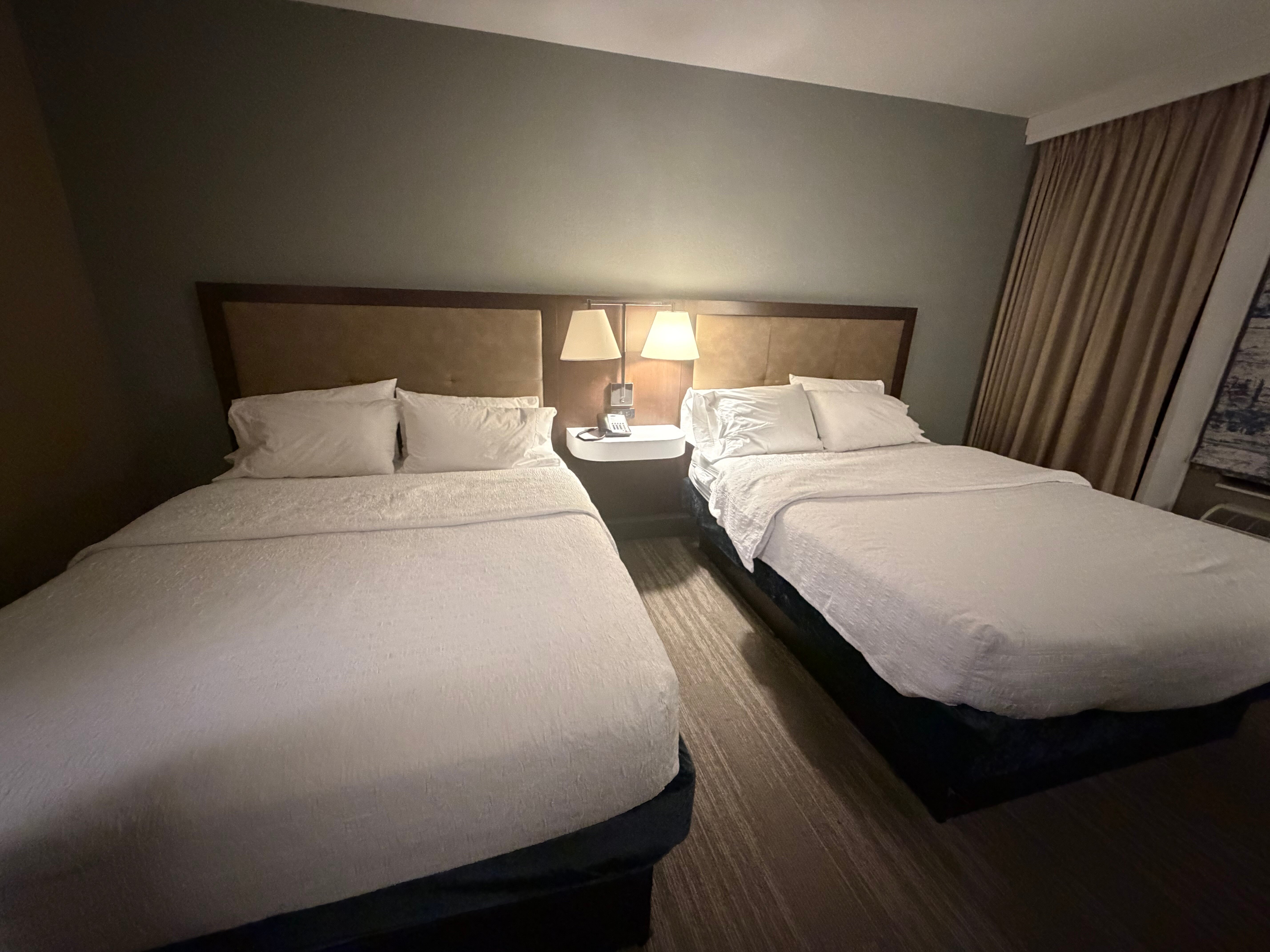 Hampton Inn & Suites Binghamton/vestal-客卧