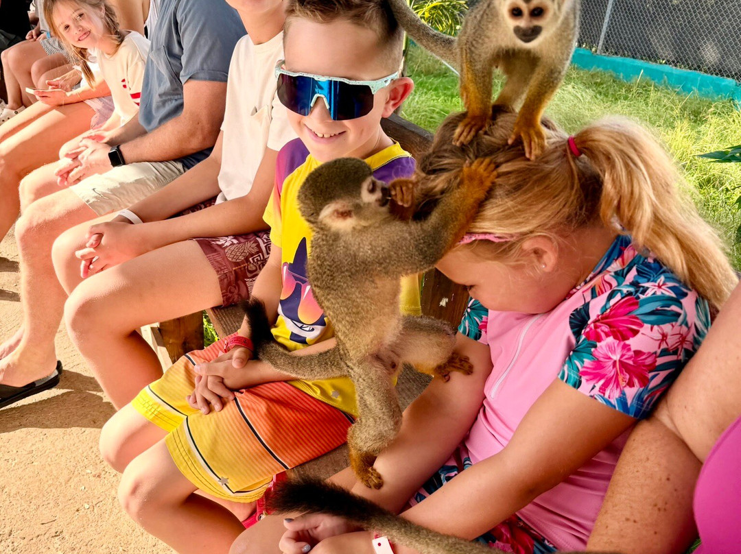 Dominican Atlantic Barney Tours-普拉塔港必去景点