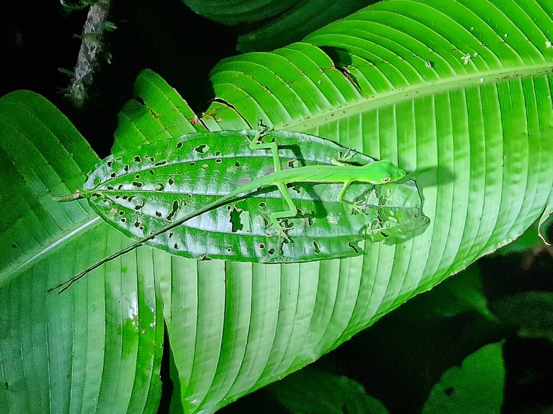 Coffee Mountain Inn主图