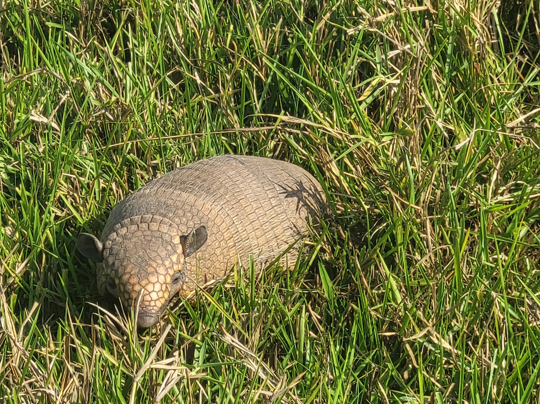 Hotel Fazenda Baia das Pedras