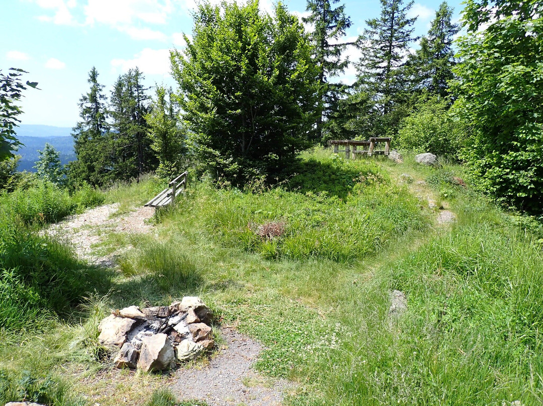 Hochkopfturm-托特瑙必去景点