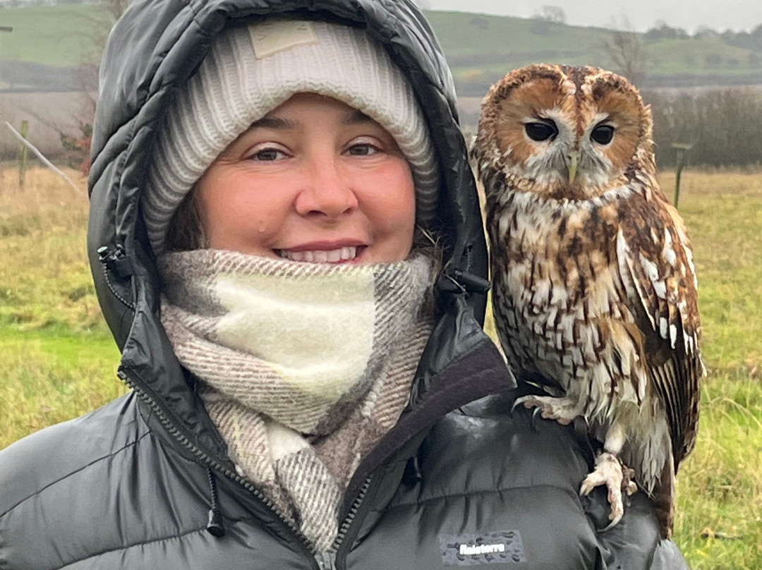 Bird on the Hand Falconry Experiences-Church Langton必去景点
