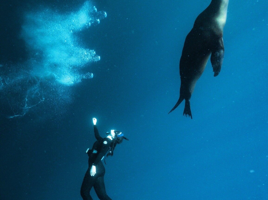 Tanner Underwater-朱庇特必去景点