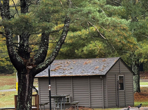 Dale Hollow Lake State Park-肯塔基必去景点