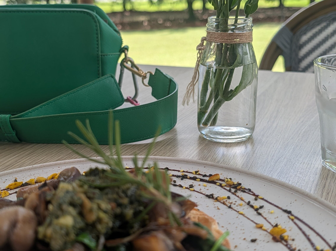 Macadamias Australia-邦德堡必去景点