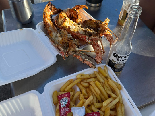 Island Paradise Tours-普罗维登西亚莱斯必去景点