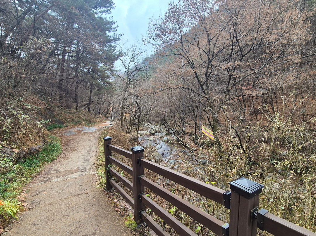 Moak Mountain-全州市必去景点