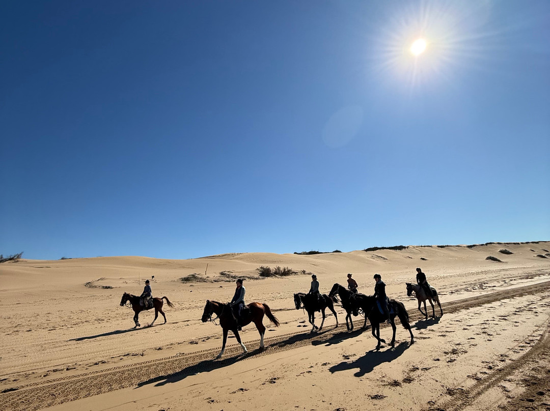 Mogador Horse-Diabat必去景点