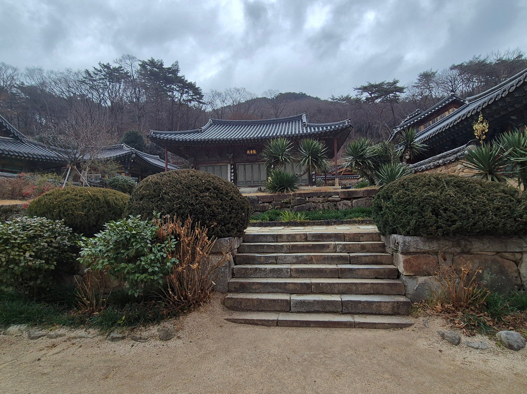 Songgwangsa Temple-顺天市必去景点