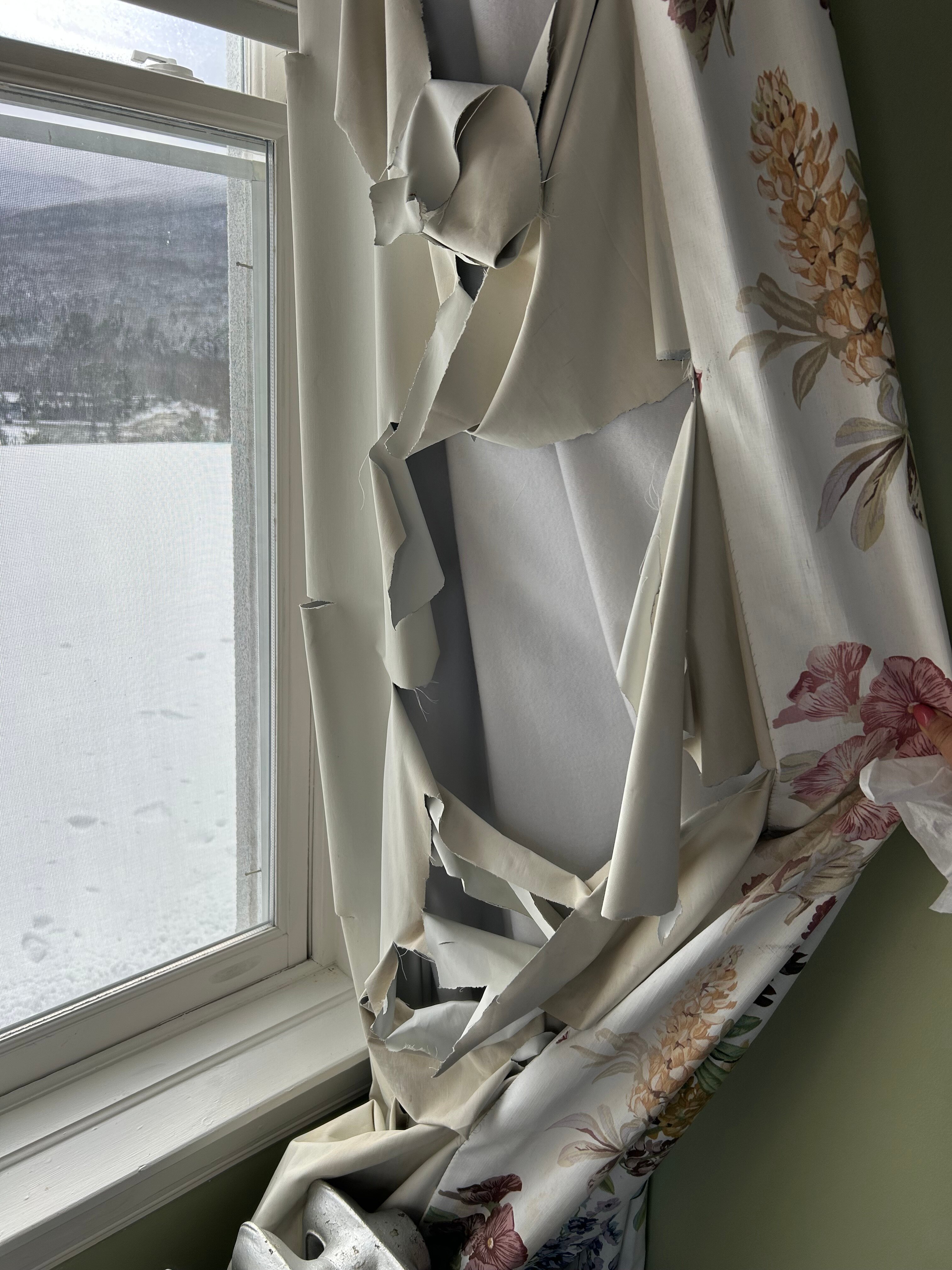 华盛顿山奥姆尼渡假酒店-官方